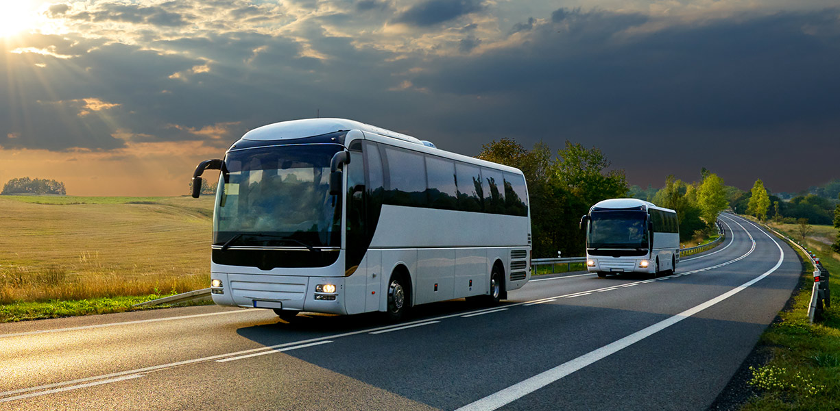 Avada Car Dealership